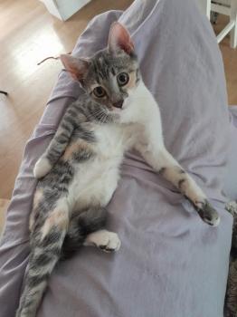 Piu Bild von Piu