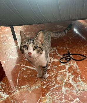Bufi Bild von Bufi