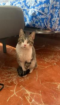 Bufi Bild von Bufi