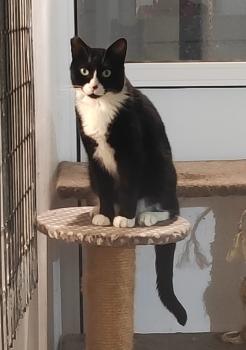 Maisha Bild von Maisha