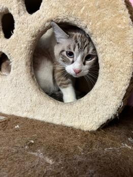 Coco Bild von Coco