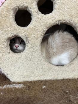 Coco Bild von Coco