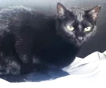 Wanda Bild von Wanda