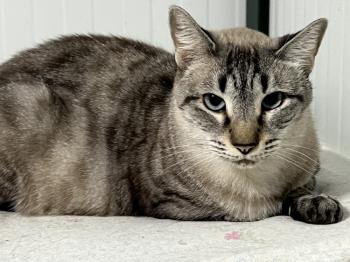 Clyde Bild von Clyde