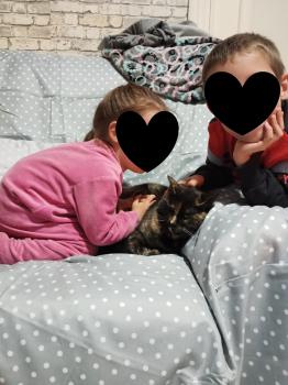 Toni Bild von Toni