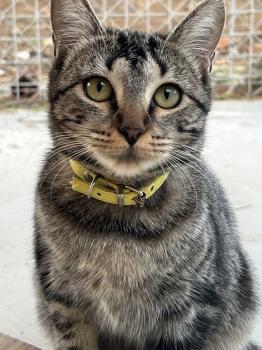Stella Bild von Stella