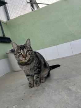 Stella Bild von Stella