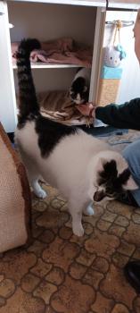Ruffy Bild von Ruffy