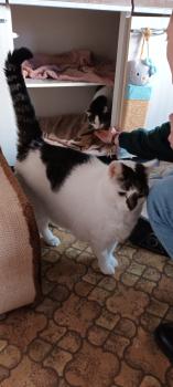Ruffy Bild von Ruffy
