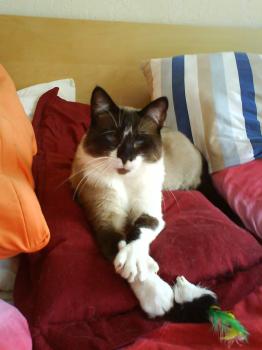 Bono Bild von Ducky