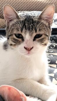 Grumpy Bild von Grumpy
