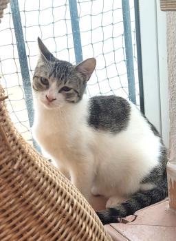 Grumpy Bild von Grumpy