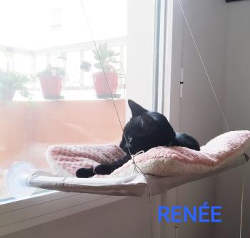 Rene Bild von Rene