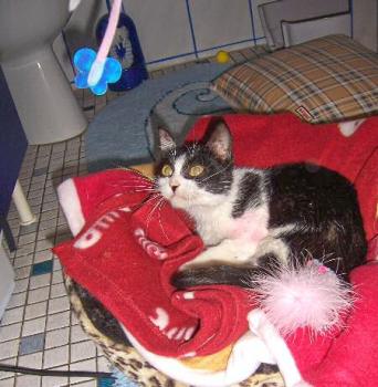 Milly Bild von Milly