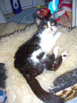 Milly Bild von Milly