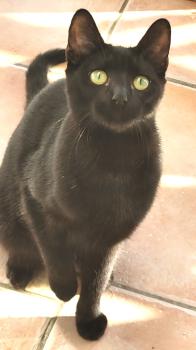 Suri Bild von Suri