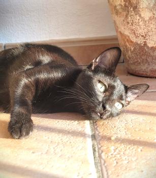 Kilo Bild von Kilo