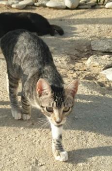 Ralfi Bild von Ralfi