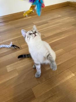 Greta Bild von Greta