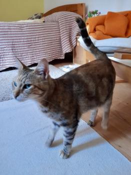 Bild von Telma