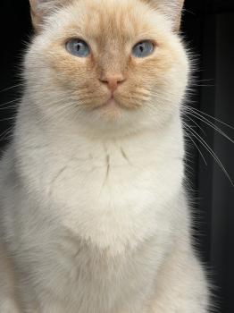 Wallas Bild von Wallas