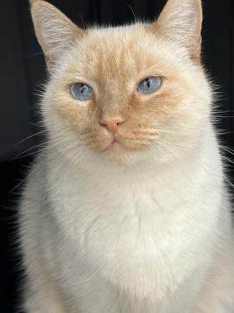 Wallas Bild von Wallas