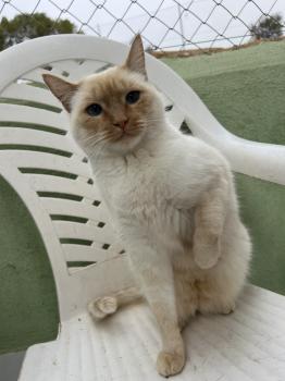 Wallas Bild von Wallas
