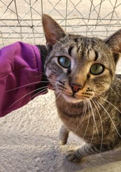 Marty Bild von Marty