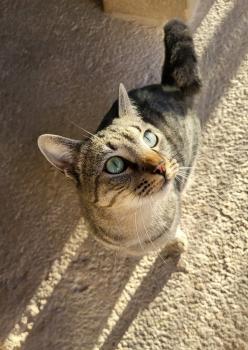 Marty Bild von Marty