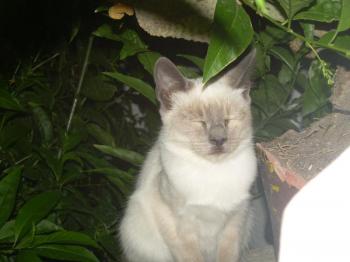 Niky Bild von Niky