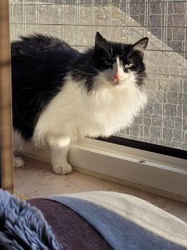 Layla Bild von Layla