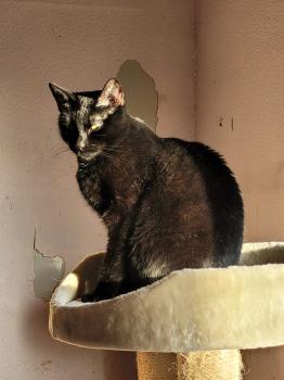 Felisa Bild von Felisa