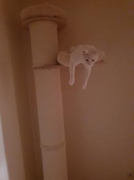 Casper Bild von Casper