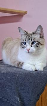 Coco Bild von Coco