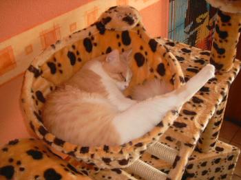 Lucky Bild von Baby