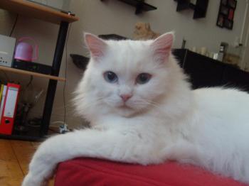 Lian Bild von Lian