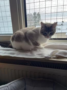 Coco Bild von Coco
