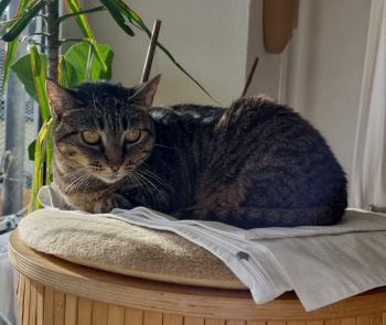 Naila Bild von Naila