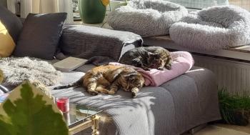 Naila Bild von Naila
