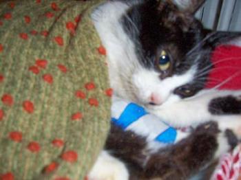 Milly Bild von Milly