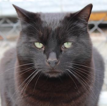 Morty Bild von Morty