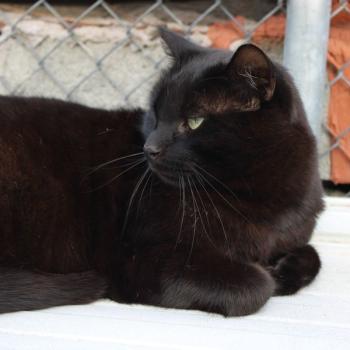 Morty Bild von Morty