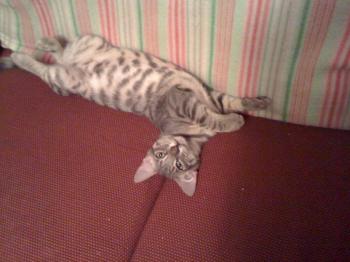 Ohne Bild von Marlon