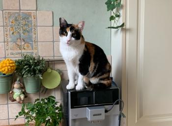 Luisa Bild von Luisa