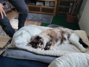 Blanqui Bild von Blanqui