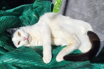 Xenia Bild von Xenia