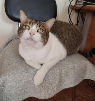 Florens Bild von Florens