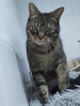 Mina Bild von Mina
