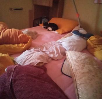 Samira Bild von Samira