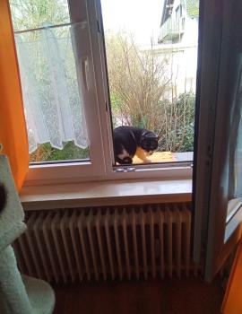 Samira Bild von Samira
